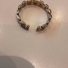 Gouden ring, segons ha informat LUMC mitjançant iLost