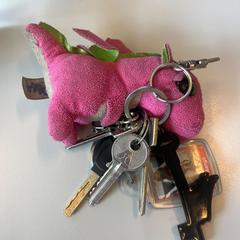 Sleutelbos met 4 sleutels en een knuffel van AVA, ha sido reportado a iLost