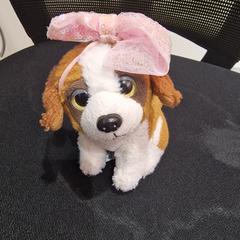 Knuffel, como reportado por allGo Almere utilizando o iLost