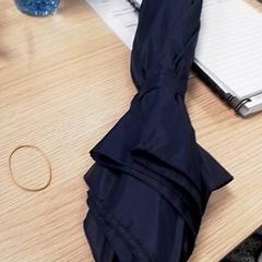 مظلة Blauw، كما تم الإبلاغ عنه بواسطة Qbuzz Fryslân عبر iLost