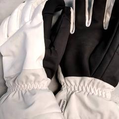 Guanti Wit zwart, come riportato da Arriva Friesland / Groningen utilizzando iLost