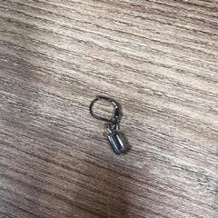 Náušnica, ako bolo nahlásené Vrije Universiteit Brussel (VUB) pomocou iLost