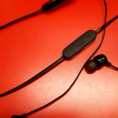 Oortjes, segons ha informat UvA REC mitjançant iLost