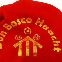 İLost kullanarak Regio Limburg - Leuven tarafından bildirildiği gibi Rugzak