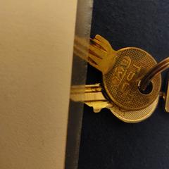 Sleutelbosje, as reported to iLost