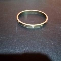 Bracelet, a été signalé par Apenheul utilisant iLost