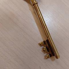 Llave, ha sido reportado por IKEA Tours con iLost