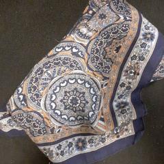 Xal, segons ha informat Qbuzz servicepunt  Emmen mitjançant iLost