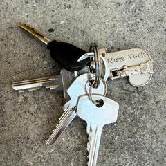 Sleutelbos, ako bolo nahlásené iLost