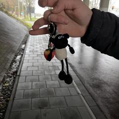 Bicycle Key, iLost-i jakinarazi zaion moduan
