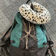 İLost kullanarak Connexxion Amstelland-Meerlanden Schiphol Zuid tarafından bildirildiği gibi Sırt çantası