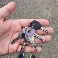 Sleutelbos، كما تم الإبلاغ عنه عبر iLost