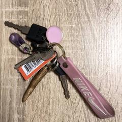 Kulcstartó, amint azt RRReis IJssel-Vecht Lelystad az iLost segítségével jelentette.