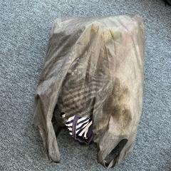 Bag, as reported by Breng Arnhem using iLost