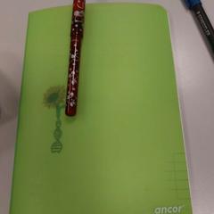 Notebooku Groen, jak nahlášeno Vrije Universiteit Amsterdam pomocí iLost