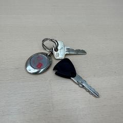 Sleutels, segons ha informat Gemeente Oirschot mitjançant iLost