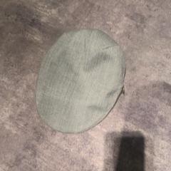 Petje, zoals gemeld door Van der Valk Hotel Haarlem met iLost