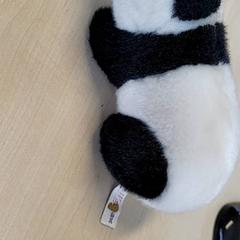 Mysig leksak Panda, rapporterat av Connexxion Haarlem IJmond med iLost