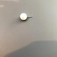 Earring, as reported by Van Gogh Museum using iLost