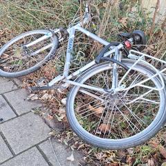 Fiets, come riportato a iLost