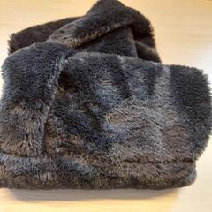 Xal, segons ha informat Regio Limburg - Leuven mitjançant iLost