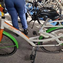 İLost kullanarak Gemeente Roermond tarafından bildirildiği gibi Kadın bisikleti