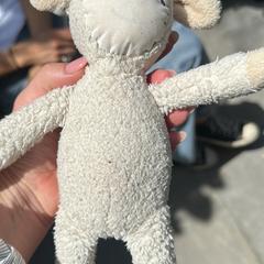 Knuffel, amint azt az iLostnak jelentették.