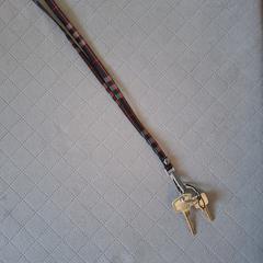 Sleutels, as reported to iLost