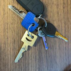 Nøkkel Sleutelbos, som rapportert av Pathé Amsterdam Noord ved bruk av iLost