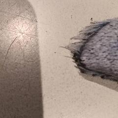 Knuffel, iLost를 사용하여 De Efteling에 보고됨