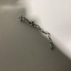 イヤリング Zilver がiLostで Ziggo Dome によって報告されました