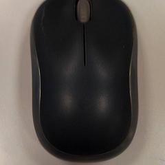 Maus, gemeldet von Vrije Universiteit Amsterdam über iLost