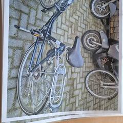 Women’s bike, as reported by Gemeente Roermond using iLost