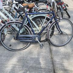 Gazelle paars, segons ha informat Stadswerk072 mitjançant iLost