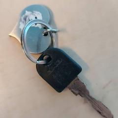 Sleutel, zoals gemeld door Blauwnet Zwolle met iLost