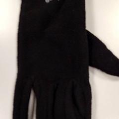 グローブ Zwart がiLostで Vrije Universiteit Amsterdam によって報告されました