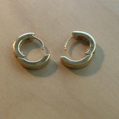 2 oorbellen, som rapporterats till iLost