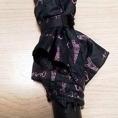 Paraigües, segons ha informat Qbuzz Fryslân mitjançant iLost