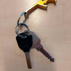 Llave, ha sido reportado por Blauwnet Zwolle con iLost