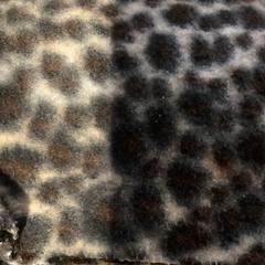 숄 Panterprint - 140326 HZH2, iLost를 사용하여 Ziggo Dome에 보고됨