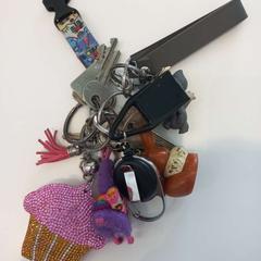 Kulcstartó, amint azt Arriva Limburg Zuid az iLost segítségével jelentette.