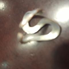 الخاتم، كما تم الإبلاغ عنه بواسطة Internationaal Theater Amsterdam عبر iLost