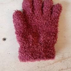 Guant Paars, segons ha informat DierenPark Amersfoort mitjançant iLost