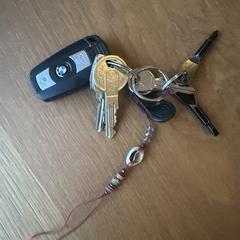 Sleutelbos bmw, as reported to iLost
