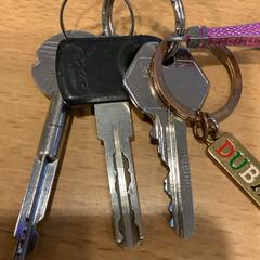 İLost kullanarak Gemeente Amsterdam tarafından bildirildiği gibi Anahtarlık