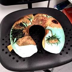 Polštář, jak nahlášeno Arriva Twents pomocí iLost