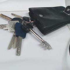 Sleutelbos, zoals gemeld door Gemeente Utrecht met iLost