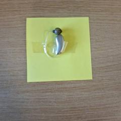 Hallókészülék, amint azt Keukenhof az iLost segítségével jelentette.