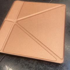 E-reader, as reported by Rotterdam The Hague Airport using iLost