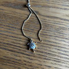 Een armbandje met schildpad がiLostに報告されました